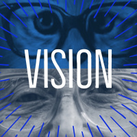 Impact Podcast January 24, 2018 | Vision: Week 3