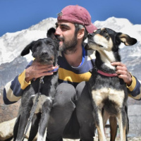 #76-Viajar por el mundo en tienda de campaña con viajeros perrunos