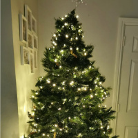 Is November Too Early For The Christmas Tree?