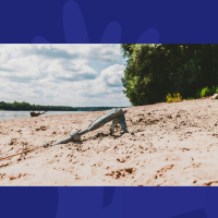 Turns Out Anchors Arent As Important As We Think