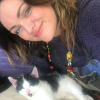 What’s The Story: The Curious Case Of The Cat