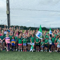 Limerick Have That All-Ireland Fever