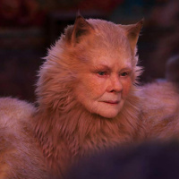 How You Can Cat-ch This Truly Terrible Film