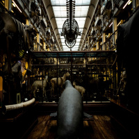 How Do You Preserve Some Of Ireland’s Oldest Belongings?