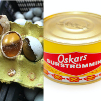 The TikTok-er Who Eats The Food You Wont