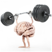 What If Your Brain Had A Gym?