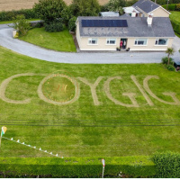Football Superfan Gets Kildare Garden World Cup Ready 