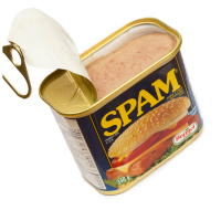 Daves World: What is Spam?