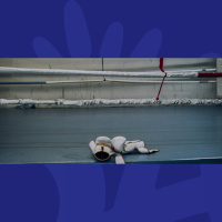 Meet The Young Dublin Boxer That Is Destined For Glory!