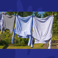 Counting Number Plates, New Socks And Clothes On The Line: The Little Things That Bring You Joy