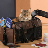 Everything You Need To Know About Taking Your Pets On Holidays