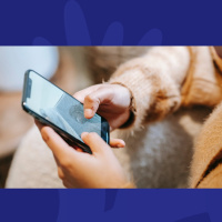 This New Game Will Have Your Head WRECKED