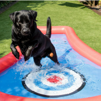 Top Vet Shares Tips On Keeping Your Pets Cool	