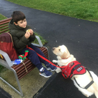 How Assistance Dogs Are Changing Lives