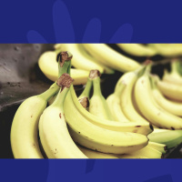 Carwashes, Getting A Cold And Eating Bananas: What Normal Thing Havent You Done?