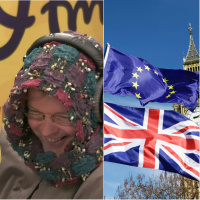 The Northern Irish Protocol Explained By Noni ACTUALLY Makes Sense 