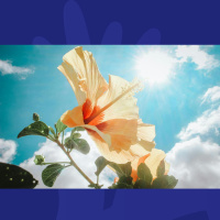 Weddings, Puppies And The Sun To Shine: What Are Irish People Waiting For?