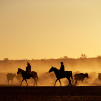 This Australian Ranch Is Bigger Than Rwanda