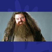 Sorry...Who Is Playing Hagrid In The New Harry Potter Movie?