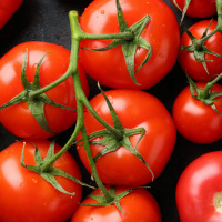 Who Knew Tomatoes Could Be So Interesting 