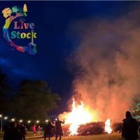 Galway Couple Turn Their Wedding Into A Festival