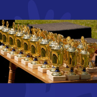 Knobbliest Knees, Little Prince And The Longest Kick In Connacht-Irelands Best Awards