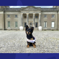 Meet Sockie-The Laois Nose Of Tralee