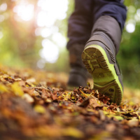 The Benefits of Walking 