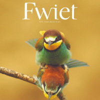 Fwiet! Fwiet! 55 Vogelmagazine 5: Sex met Jeroen Denaeghel