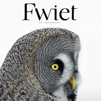 Fwiet! Fwiet! 64 FWIET VOGELMAGAZINE 8: NOORD