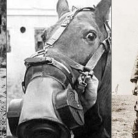 Generación Random - 1x31 - Espiar a Assange mientras hace el bobo en Internet