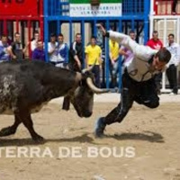 Generación Random 2x51 - Más toros por la calle