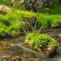 Generación Random 2x60 - Mil puteros