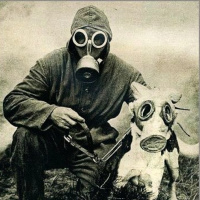 Generación Random - 1x35 - Niiiños, niiiños, Tailaaandia, Tailaandia. (fin de temporada)