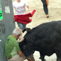 Generación Random 2x50 - Un toro suelto, por la calle