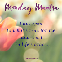 MONDAY MANTRA: I am open to what is true for me and I trust in lifes grace.