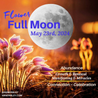 BONUS: May Flower Full Moon 2024 Insider