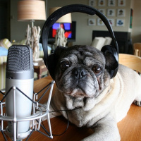 Podcast 25 - Para el nuevo podcaster )