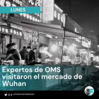 Visita de expertos de OMS al mercado de Wuhan en China.