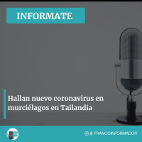 Descubren nuevo coronavirus en murciélagos en Tailandia.