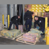 Cae en, NY, el mayor cargamento en 25 años. La noticias del 12 de marzo.