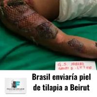 ¿Por qué Brasil enviaría piel de tilapia a Beirut?