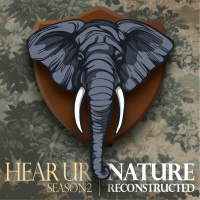 Episode 201: The SIlence Of The Bison