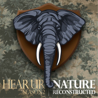 Episode 200: Extinction