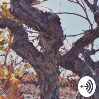 Vicent Andrés Estellés 