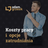 Koszty pracy i opcje zatrudniania – przegląd możliwości - odc. 50