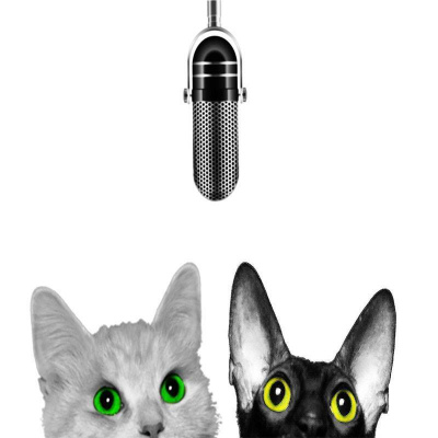 Kattsnackspoddens Podcast