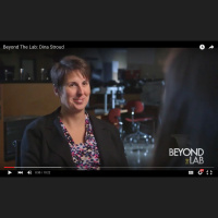 Academic Program Administration and Management