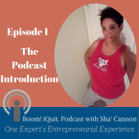 Episode 1 The Podcast Introduction