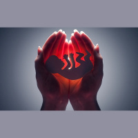 托雅口语加油站：你觉得堕胎应被合法化吗？